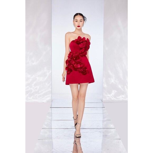 Ritara Dresses & Skirts - Ritara Red Rose Dress